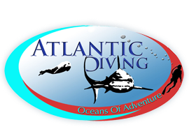 atlantic diver boat
